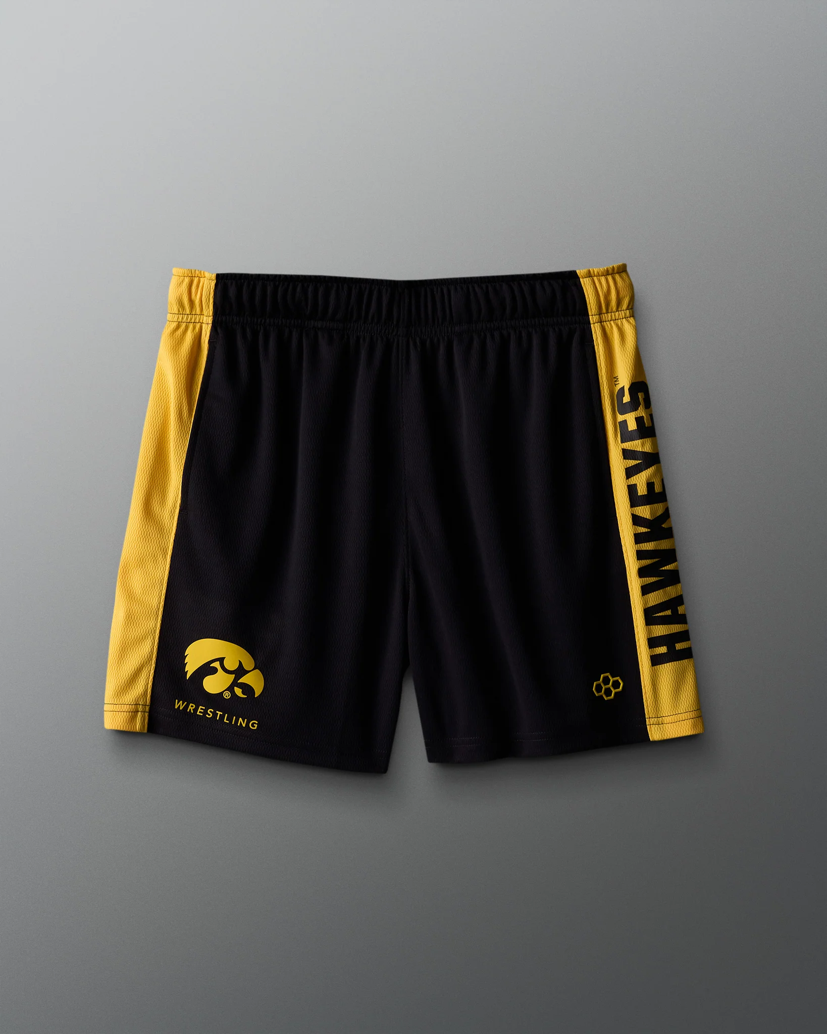 Iowa 5" Panel Mesh Short