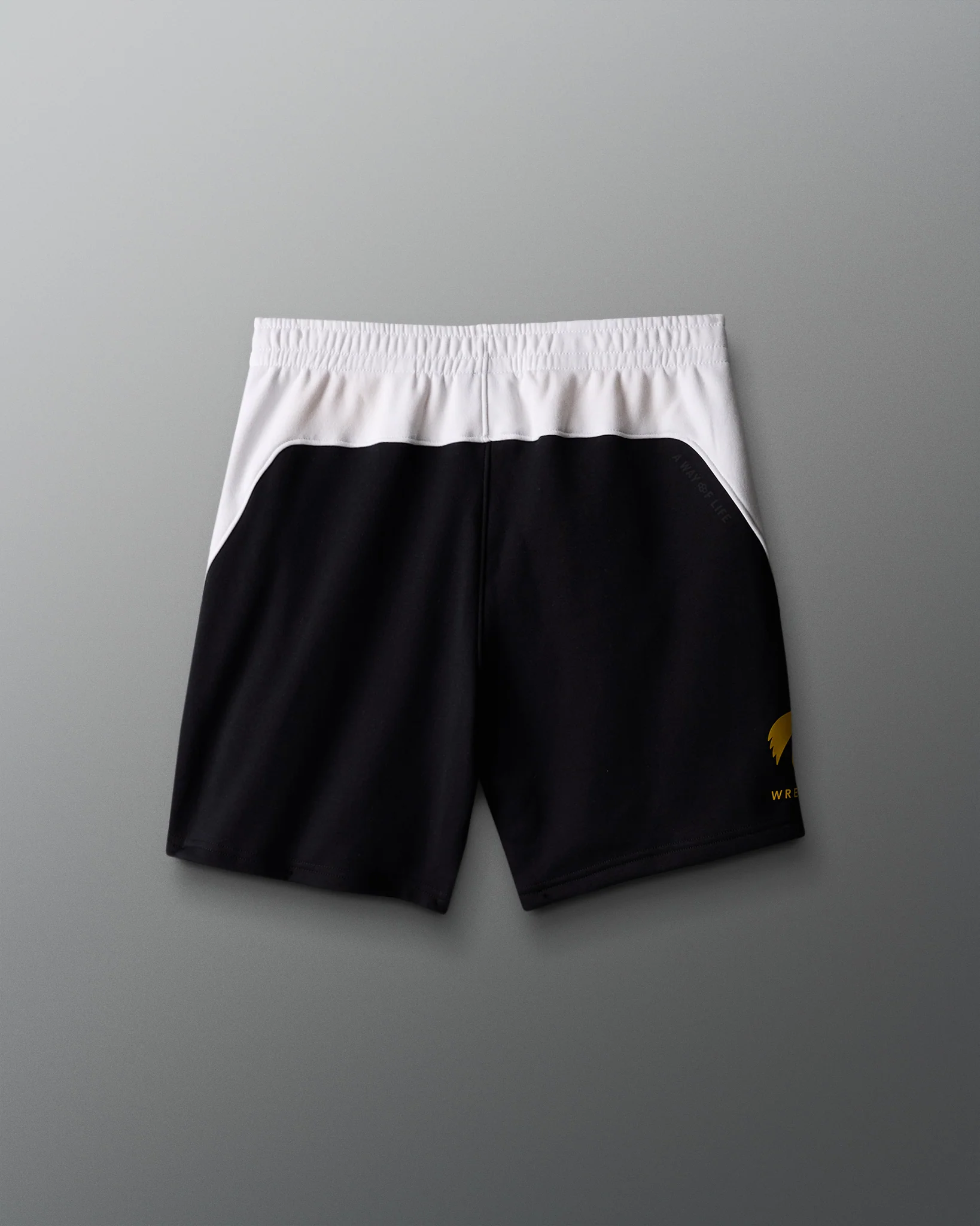 Iowa Colorblock 5" Shorts - Image 3