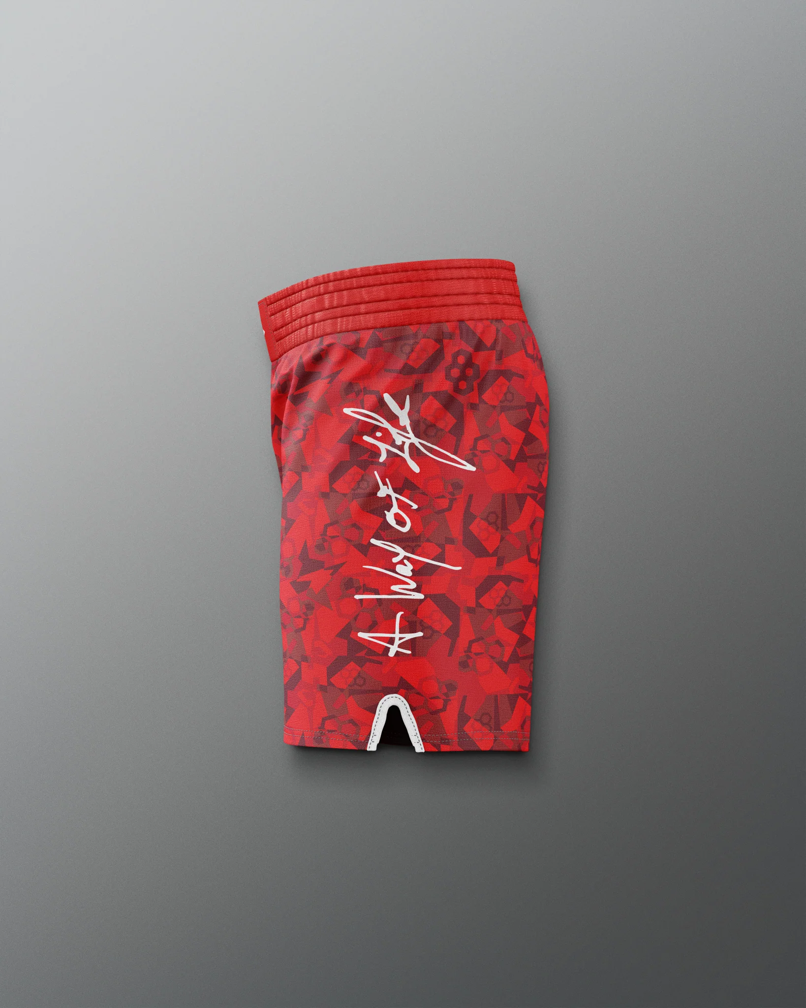 Motto Camo Elite Shorts - Image 11