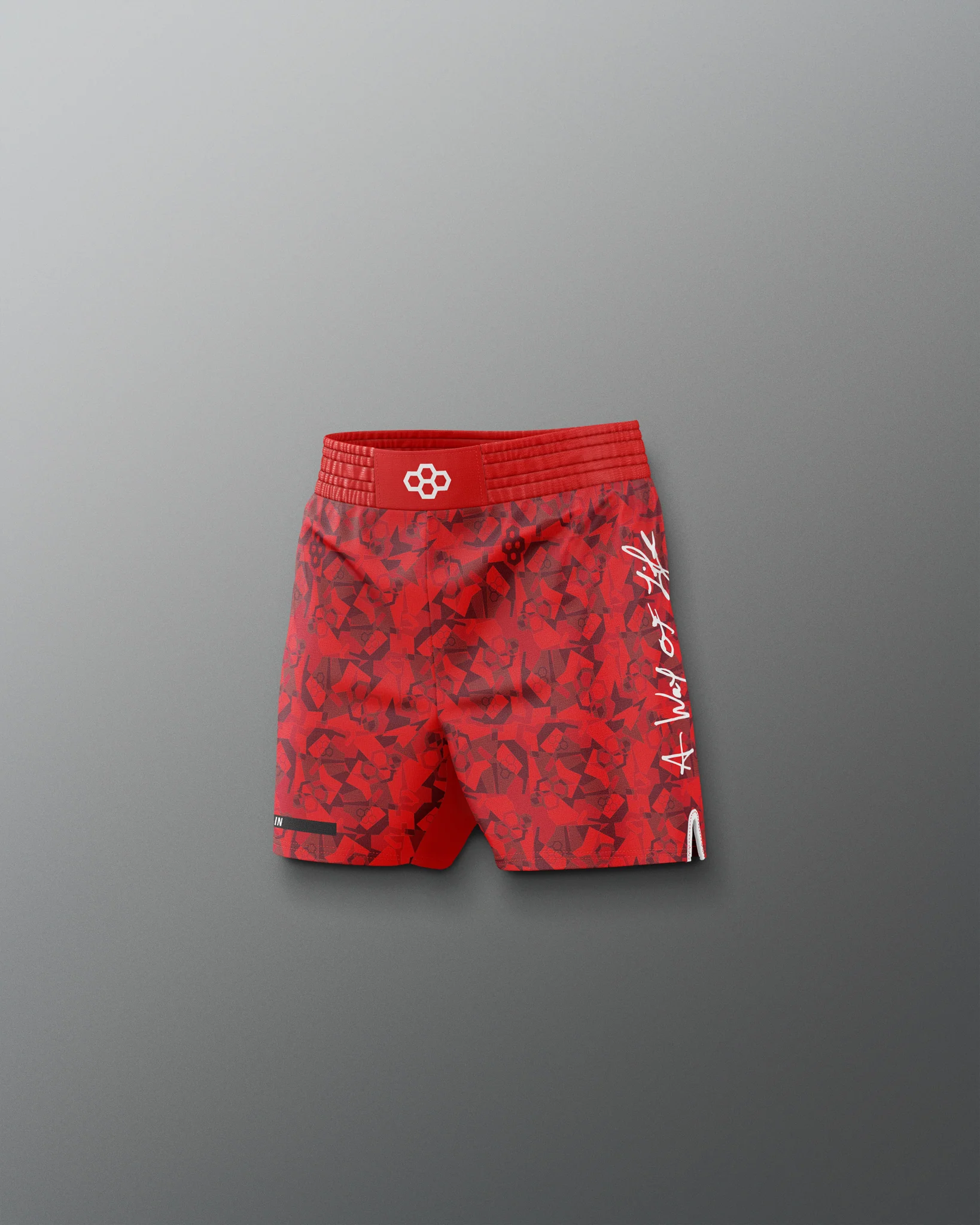 Motto Camo Youth Elite Shorts - Image 20
