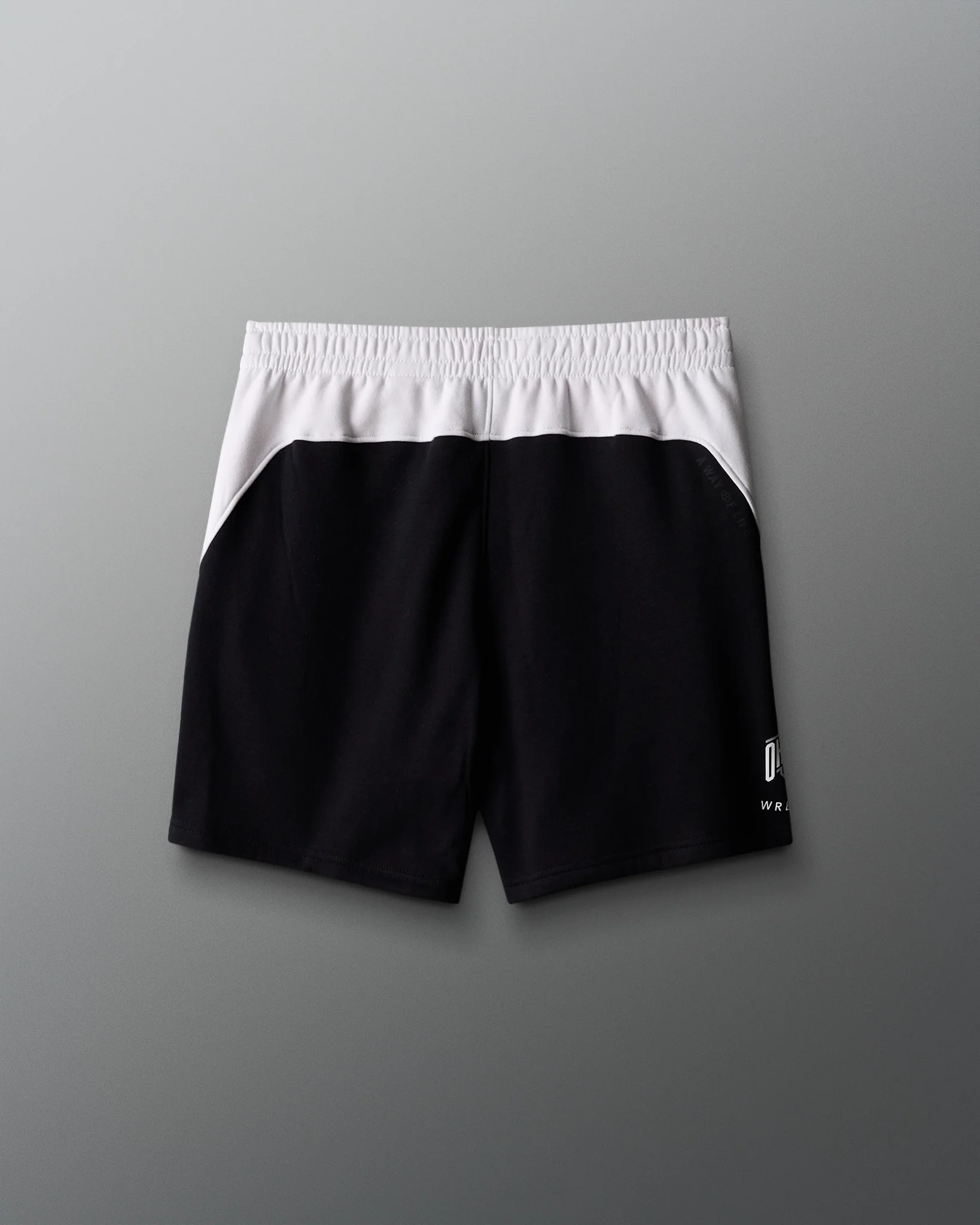 Ohio State Colorblock 5" Shorts - Image 3