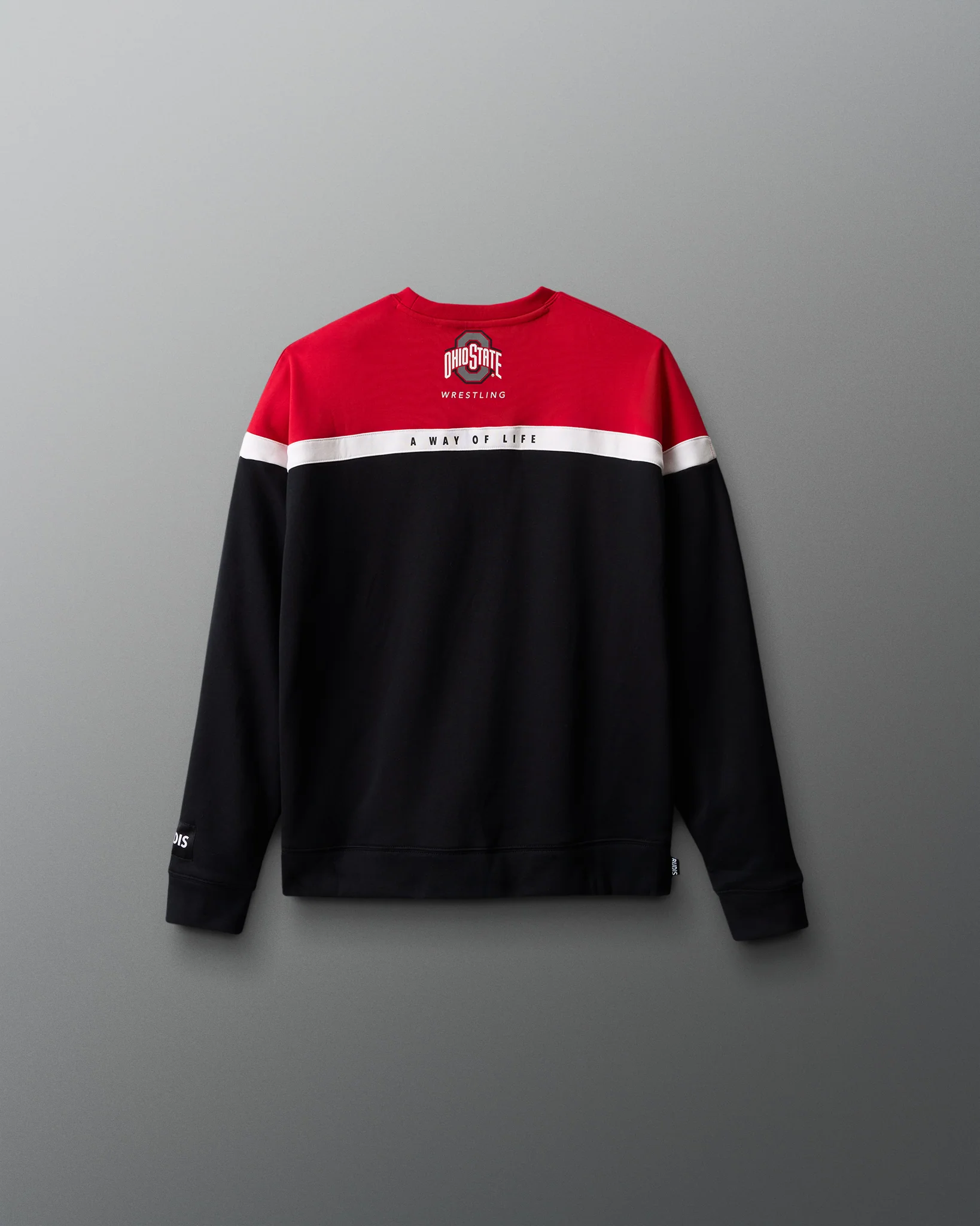 Ohio State Youth Colorblock Crewneck - Image 2