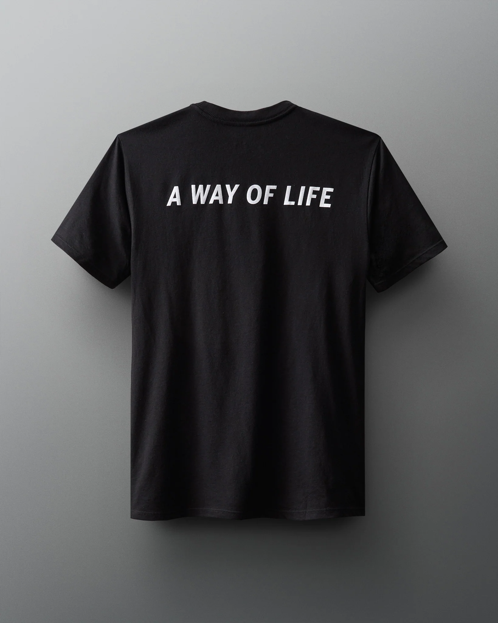 RUDIS Block Gradient T-Shirt - Image 3