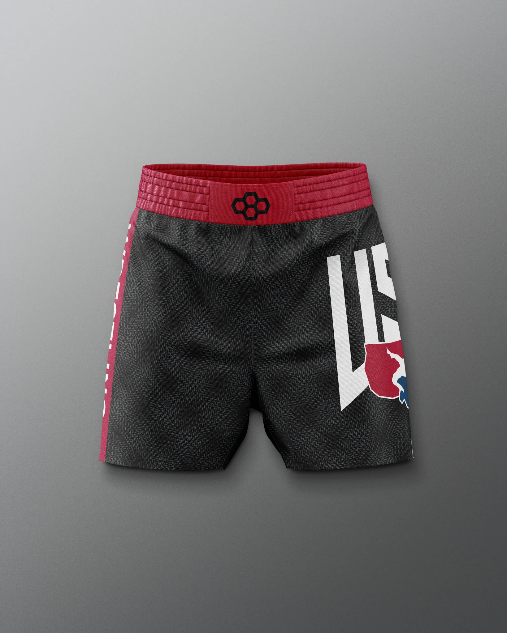 USA Dash Icon Sublimated Shorts