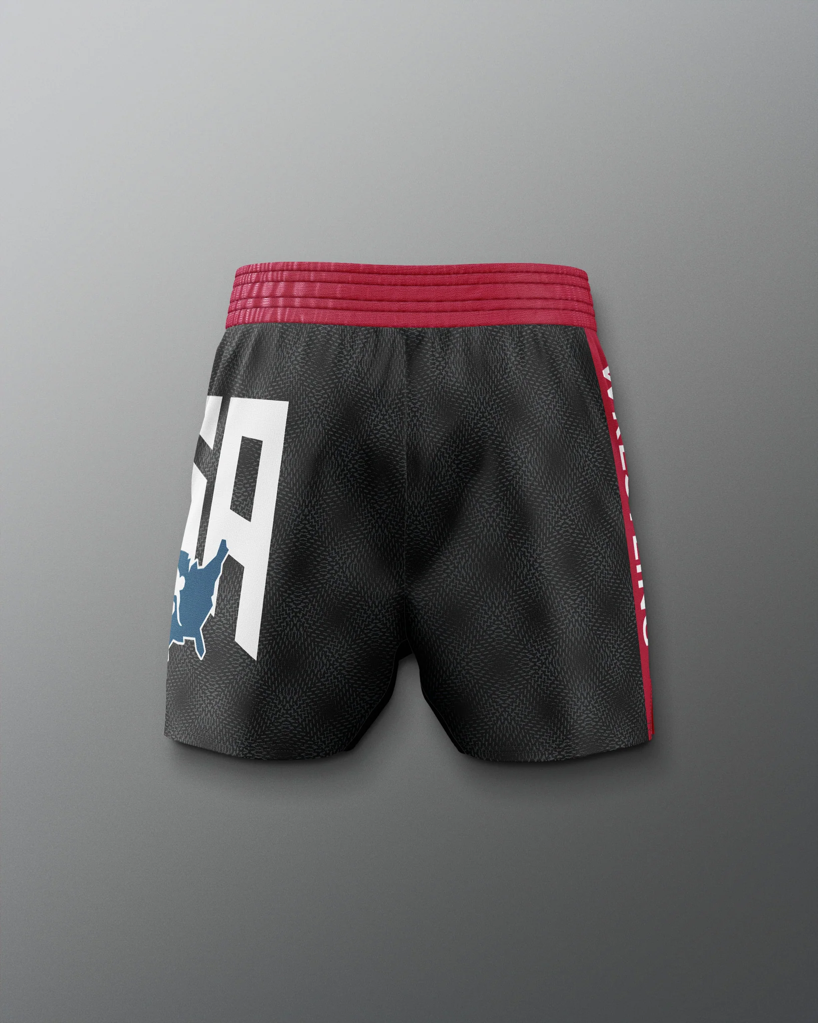 USA Dash Icon Sublimated Shorts - Image 2