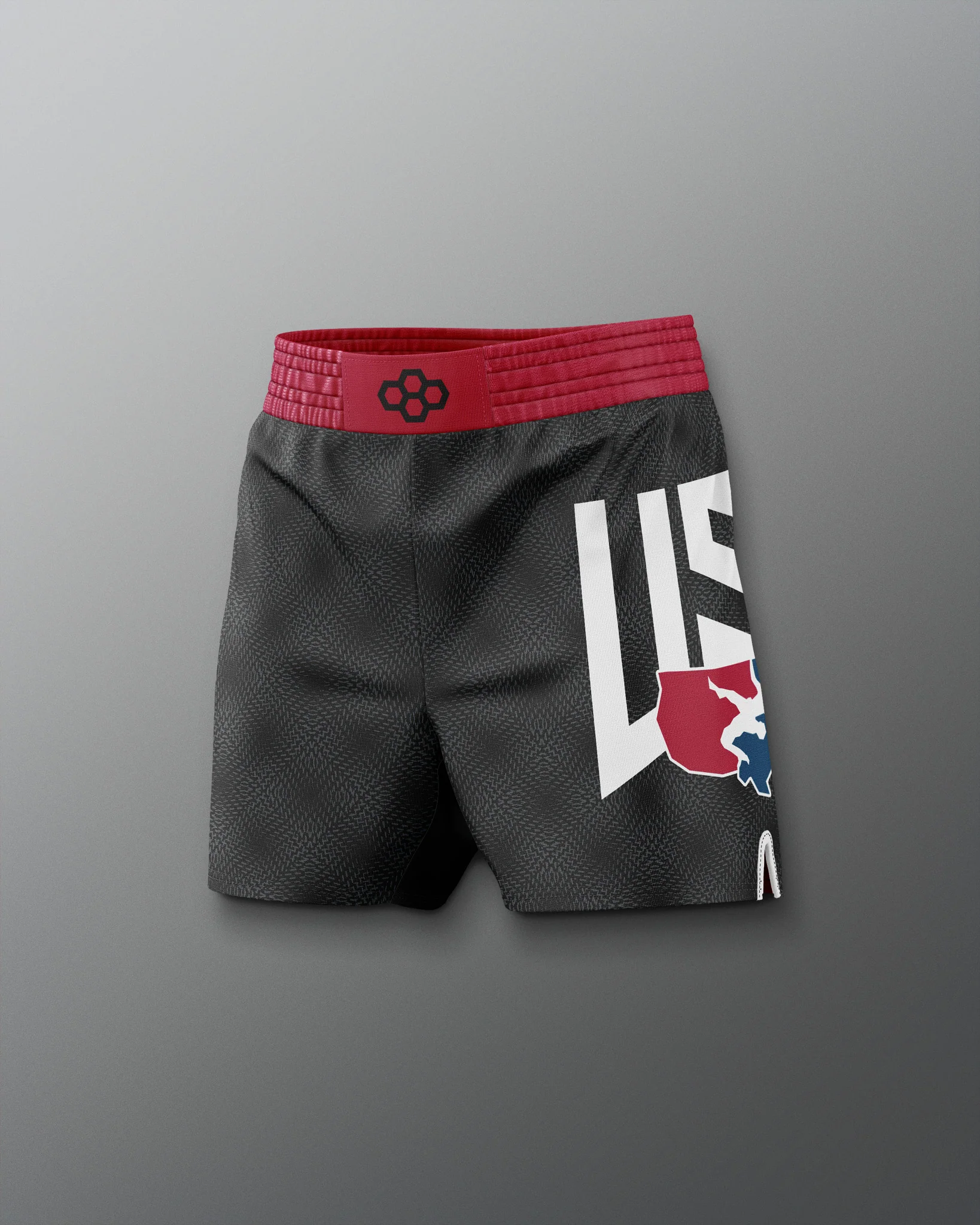 USA Dash Icon Sublimated Shorts - Image 5