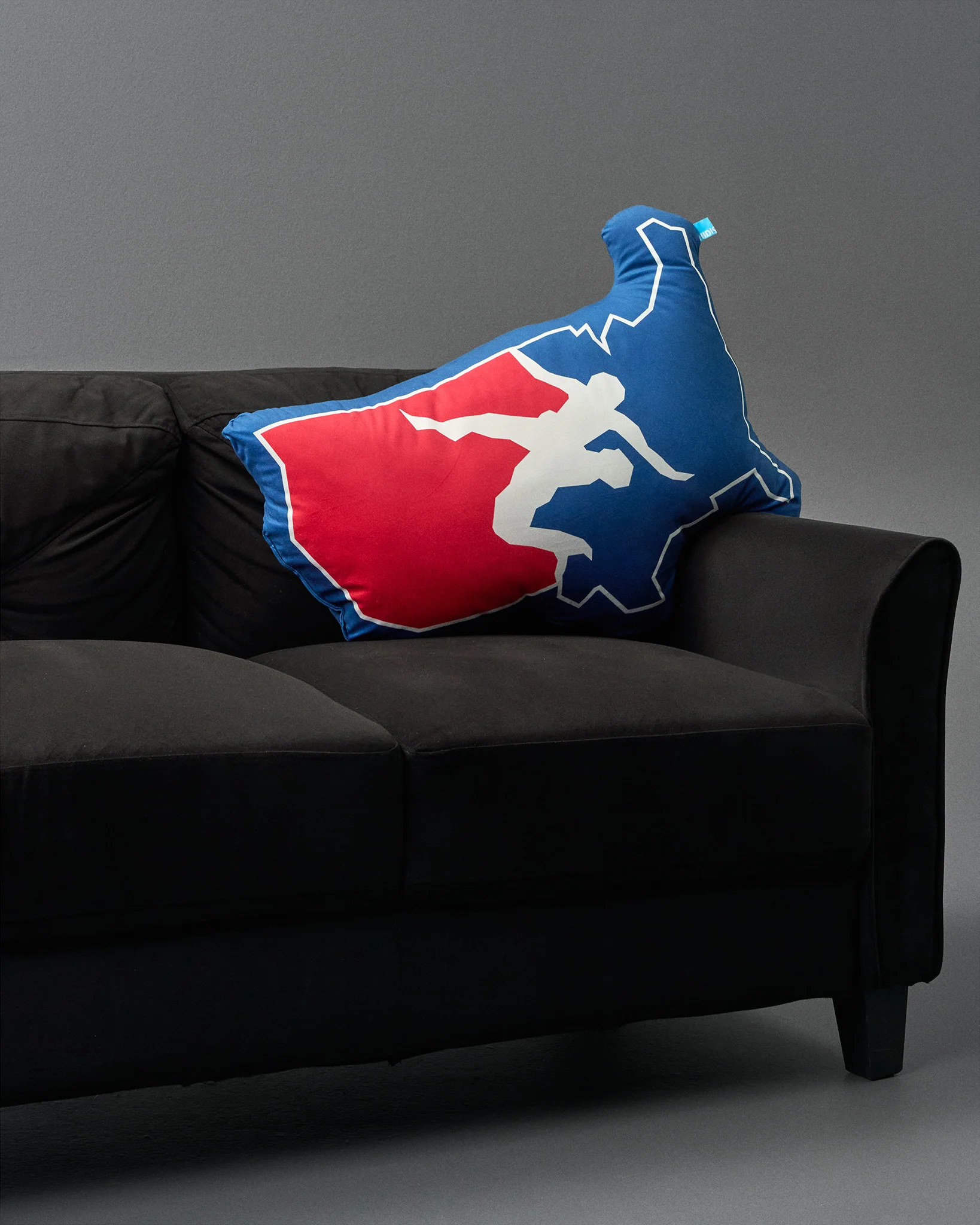 USA Wrestling Map Logo 30" Pillow