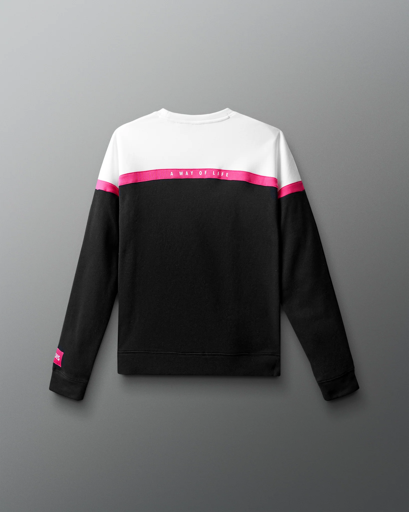 Wrestling Colorblock Crewneck - Image 9