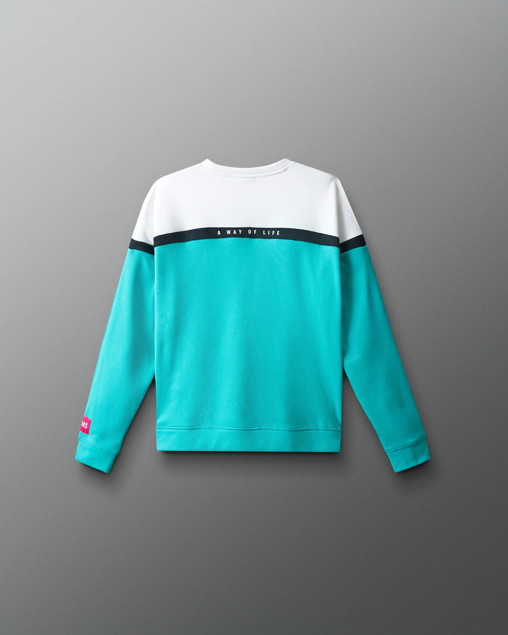 Wrestling Youth Colorblock Crewneck - Image 10