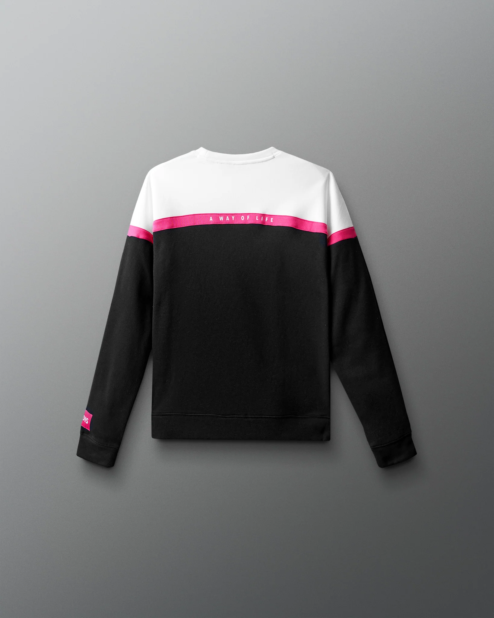 Wrestling Youth Colorblock Crewneck - Image 3
