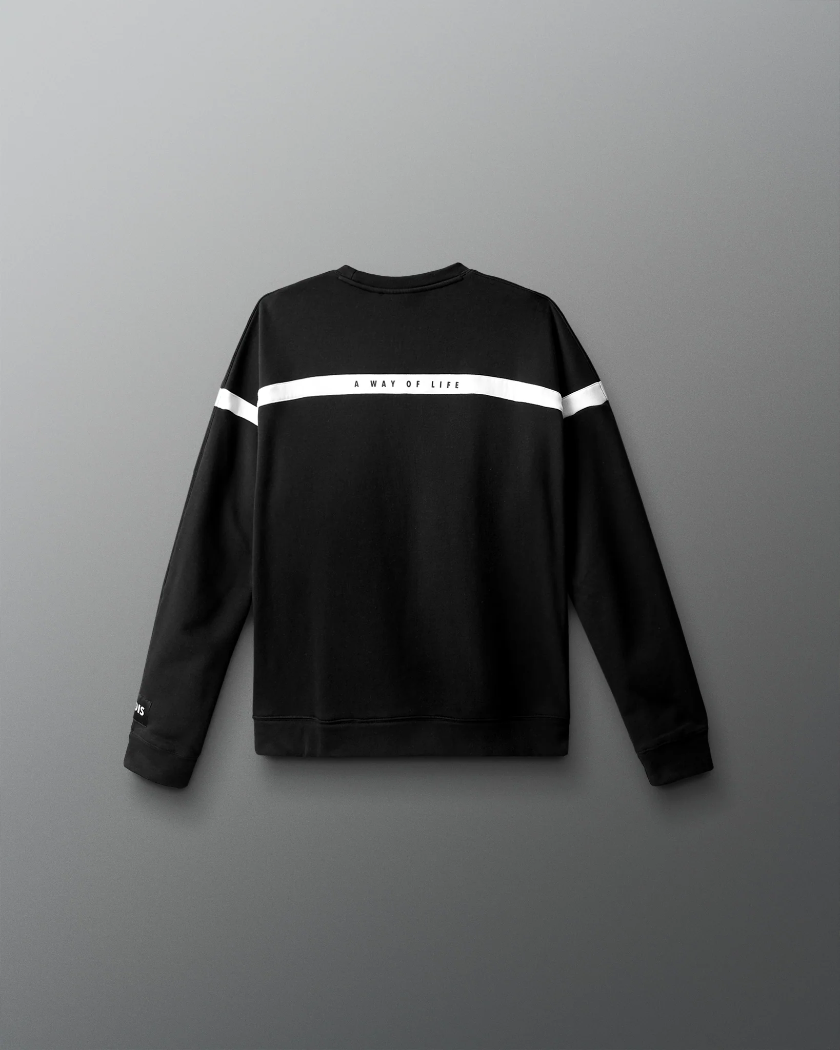 Wrestling Youth Colorblock Crewneck - Image 6