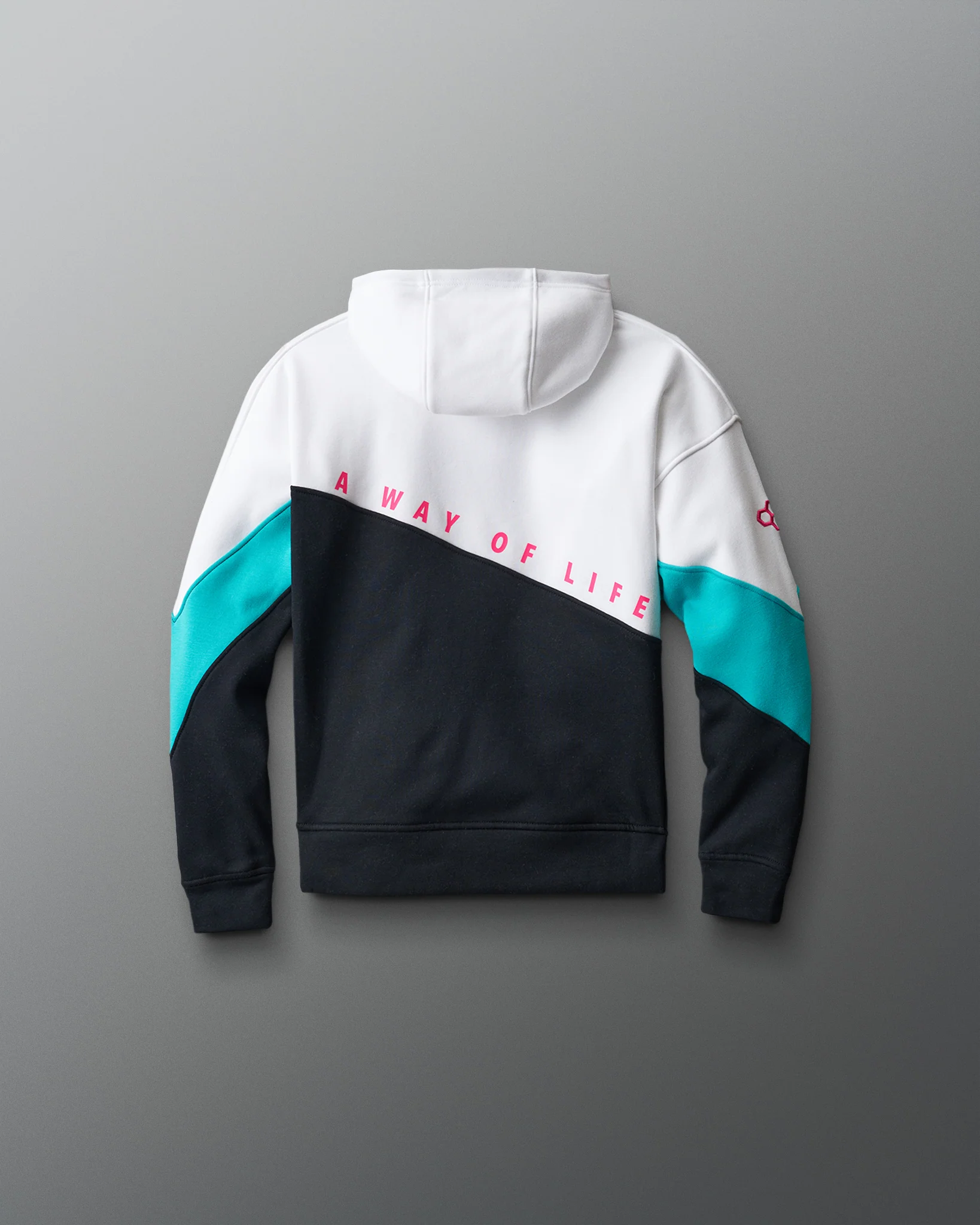 Wrestling Youth Colorblock Hoodie - Image 3